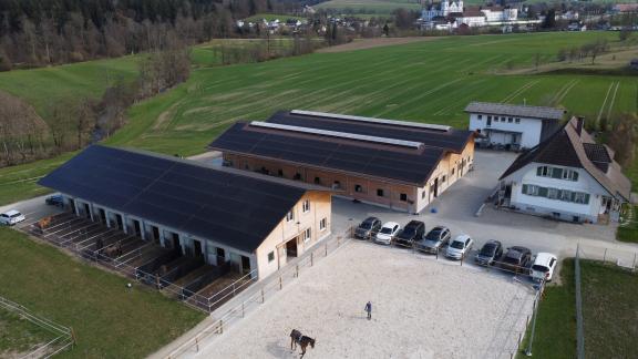 Pferdestallungen mit Sandplatz