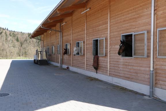 Pferdestall mit Laufband