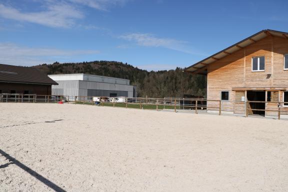 Sandplatz mit Pfedestall und Reithalle