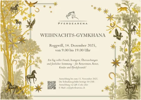 Weihnachts-Gymkhana 2025